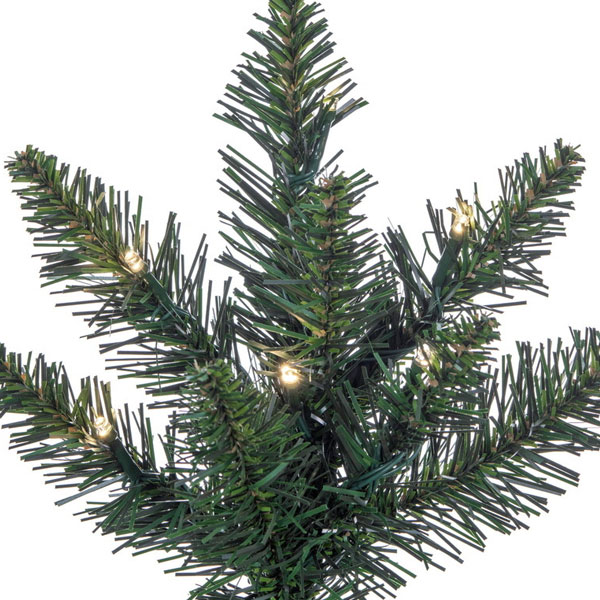 8.5' x 50" Camdon Fir Slim 5mm 800LED Color Changing - Image 3